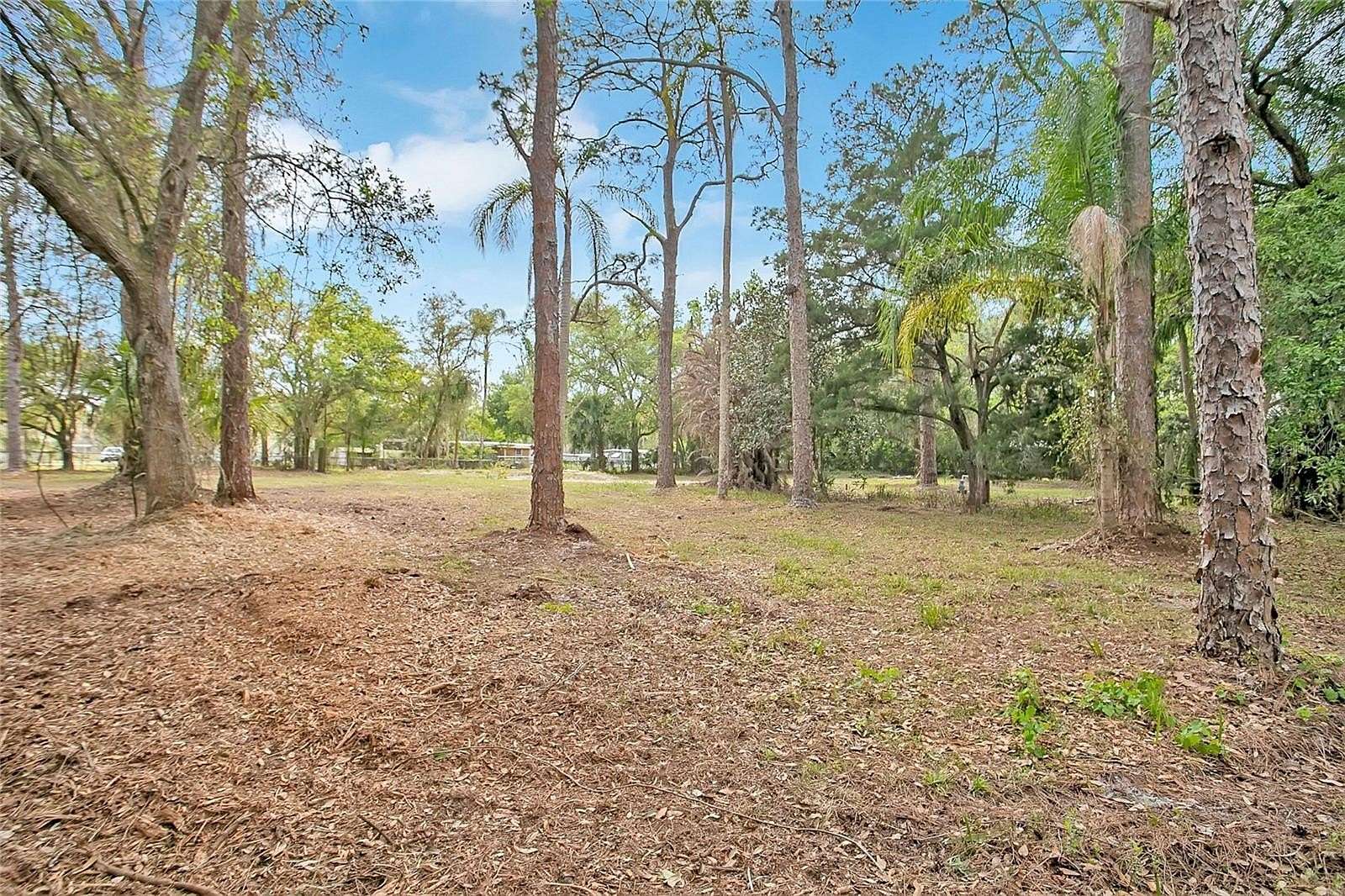 1 Acre of Residential Land for Sale in Christmas, Florida