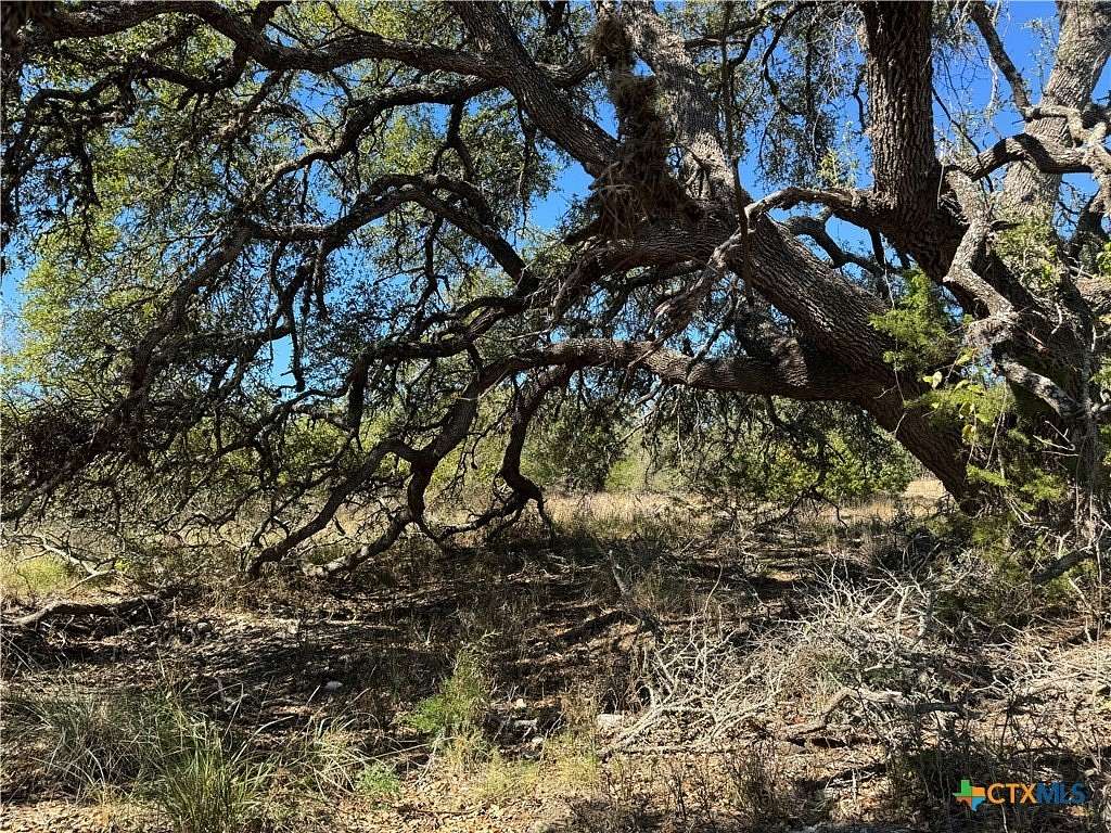 4 Acres of Residential Land for Sale in Fredericksburg, Texas