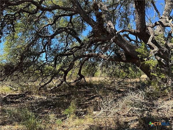4 Acres of Residential Land for Sale in Fredericksburg, Texas