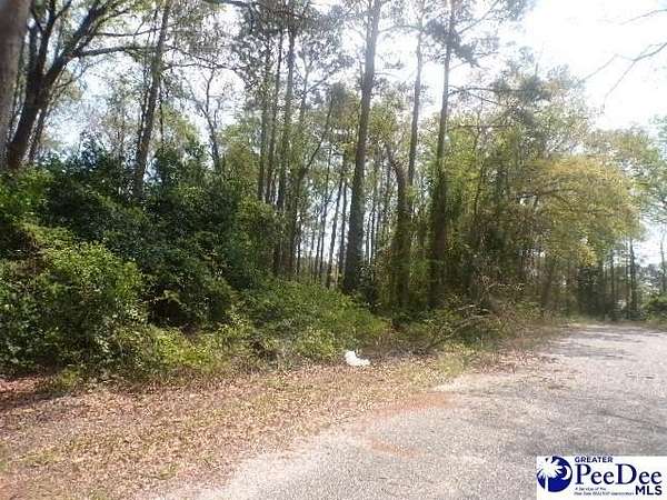 0.55 Acres of Residential Land for Sale in Hartsville, South Carolina