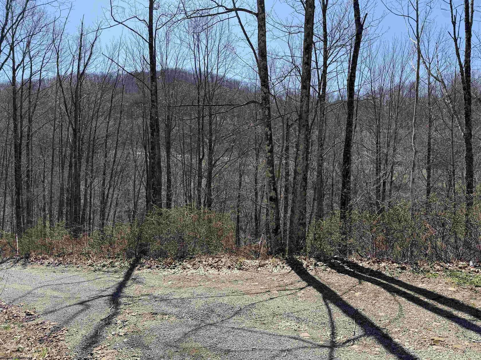 18 Acres of Recreational & Residential Land for Sale in Elkins, West Virginia