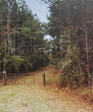 28 Acres of Recreational Land for Sale in Louin, Mississippi