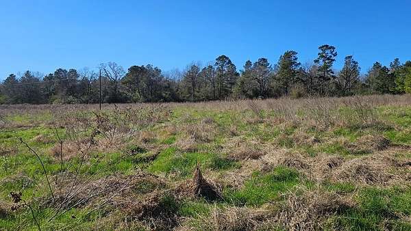 16.4 Acres of Land for Sale in Garrison, Texas