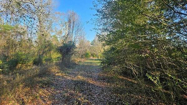 16.4 Acres of Land for Sale in Garrison, Texas