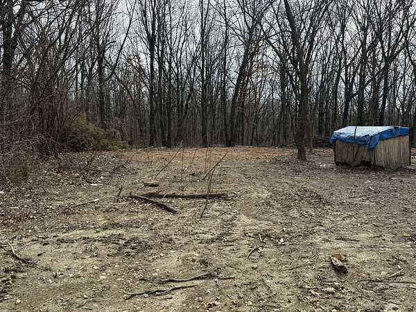 15 Acres of Land for Sale in Verona, Missouri