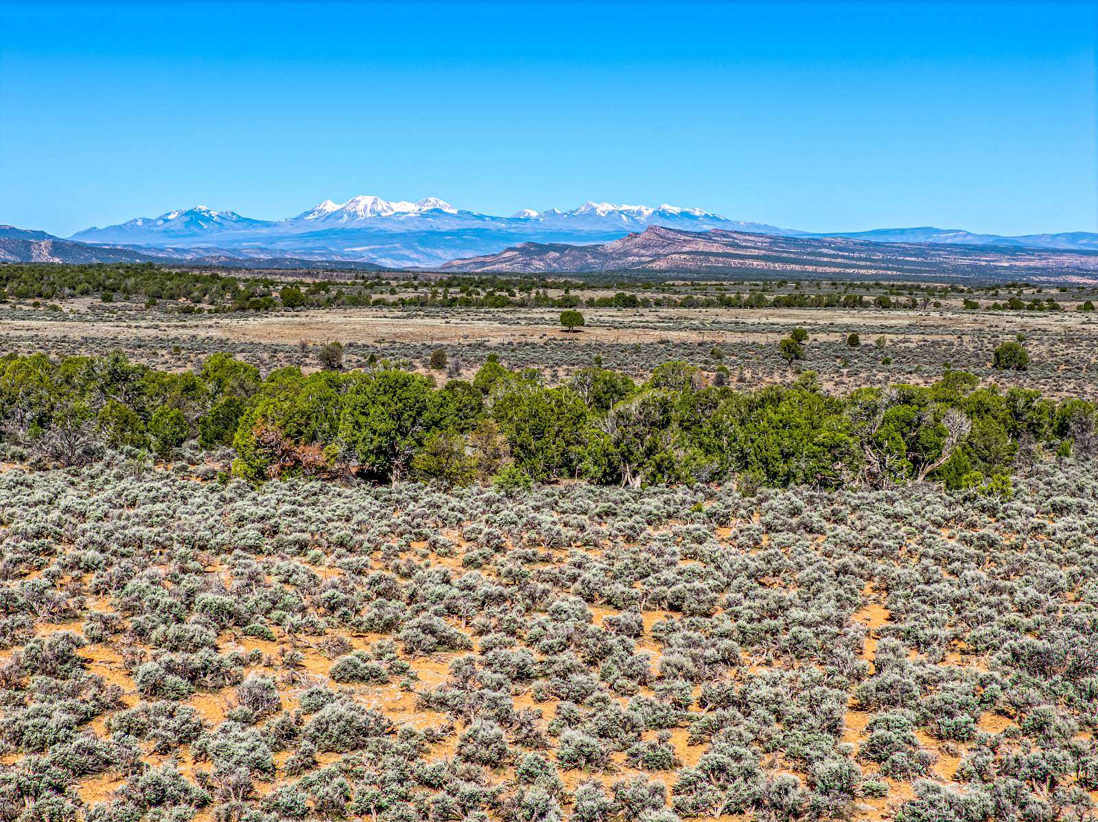 343 Acres of Recreational Land for Sale in Naturita, Colorado