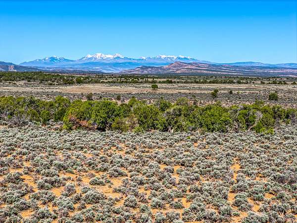 343 Acres of Recreational Land for Sale in Naturita, Colorado