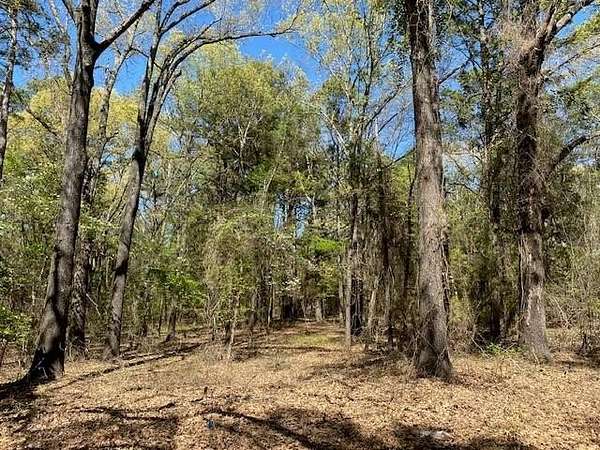0.71 Acres of Residential Land for Sale in Murchison, Texas