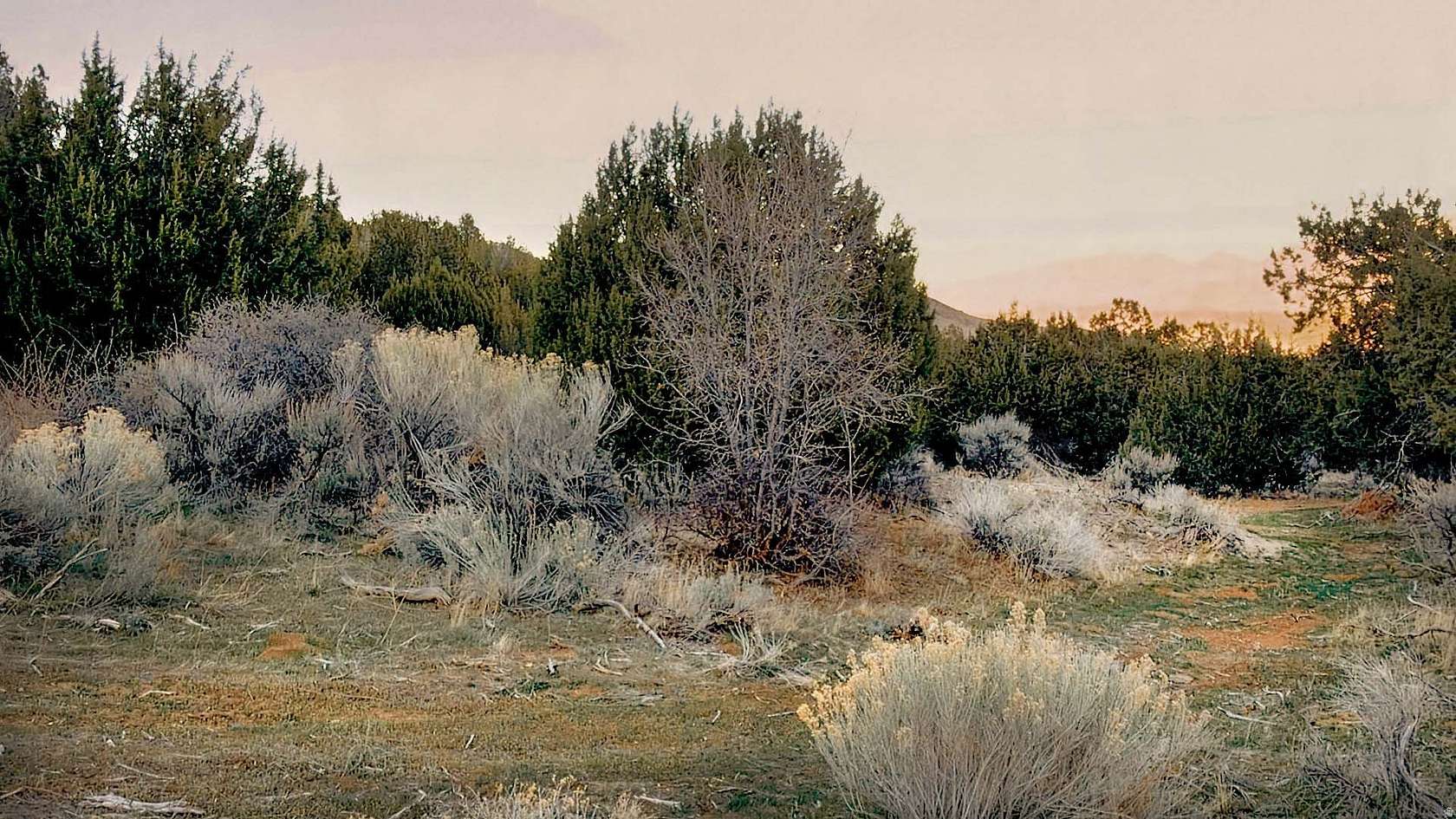 640 Acres of Recreational Land for Sale in Fairfield, Utah