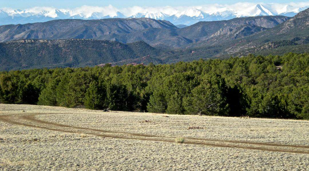 38.5 Acres of Land for Sale in Cañon City, Colorado