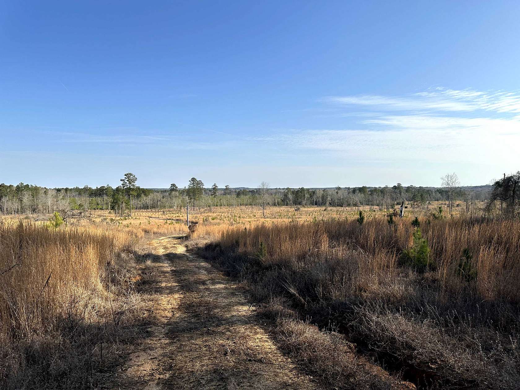94.2 Acres of Land for Sale in Spearsville, Louisiana