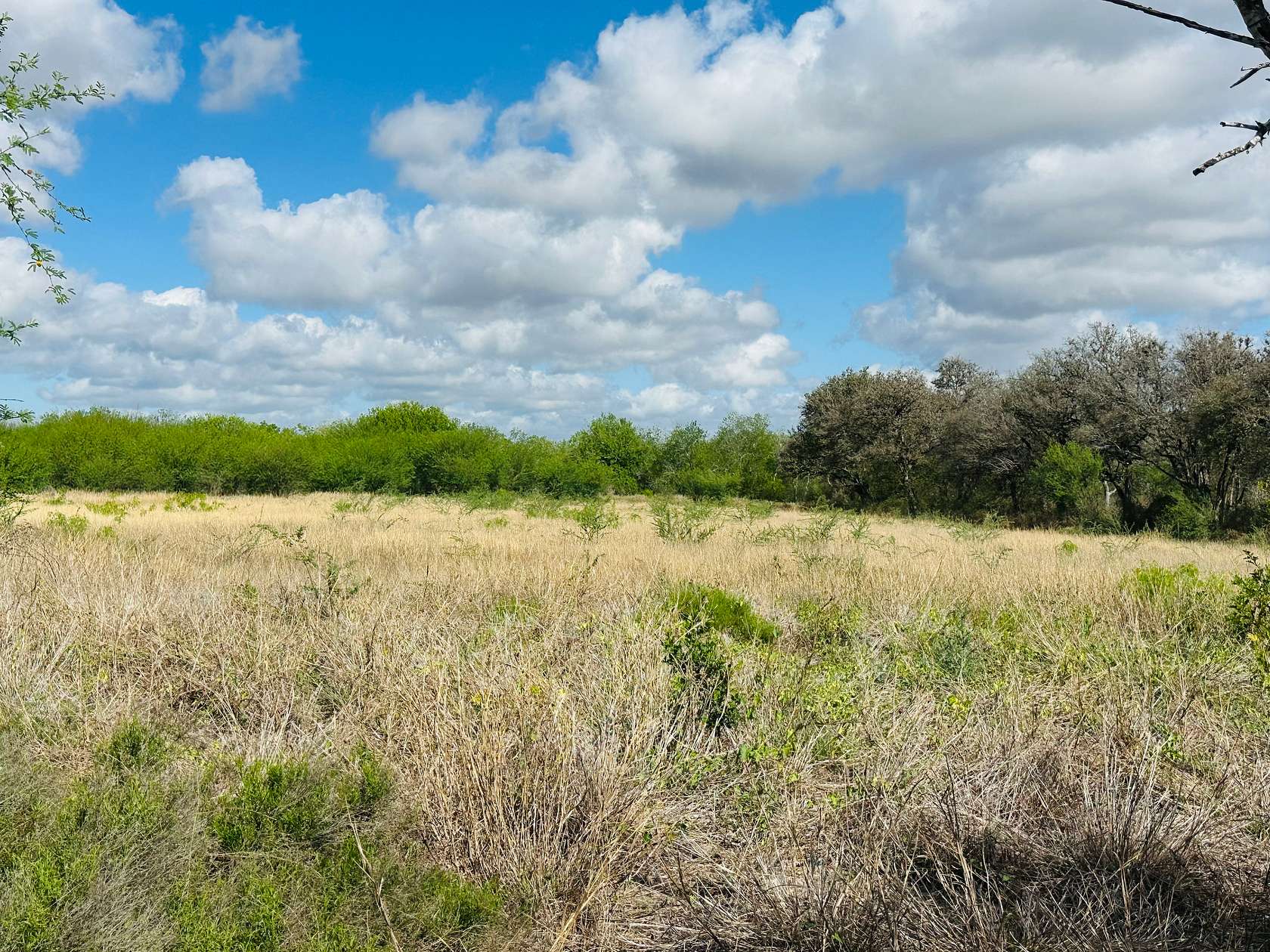 10 Acres of Land for Sale in Mathis, Texas