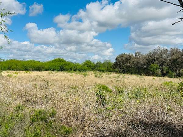 10 Acres of Land for Sale in Mathis, Texas