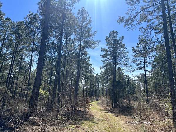 80 Acres of Land for Sale in Chidester, Arkansas