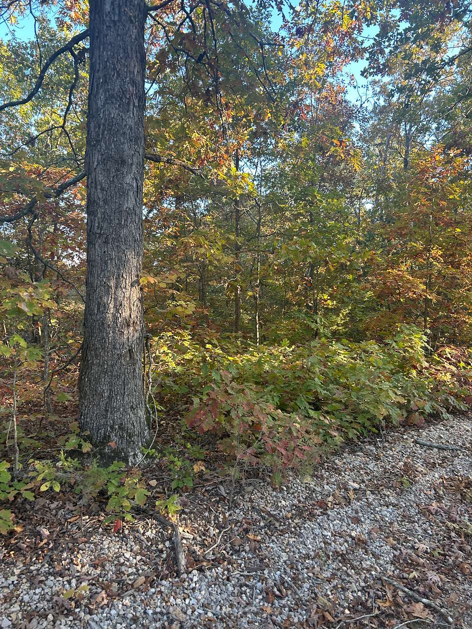 119 Acres of Land for Sale in Henderson, Arkansas