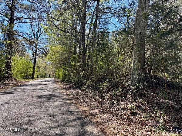 1 Acre of Residential Land for Sale in Ruth, Mississippi
