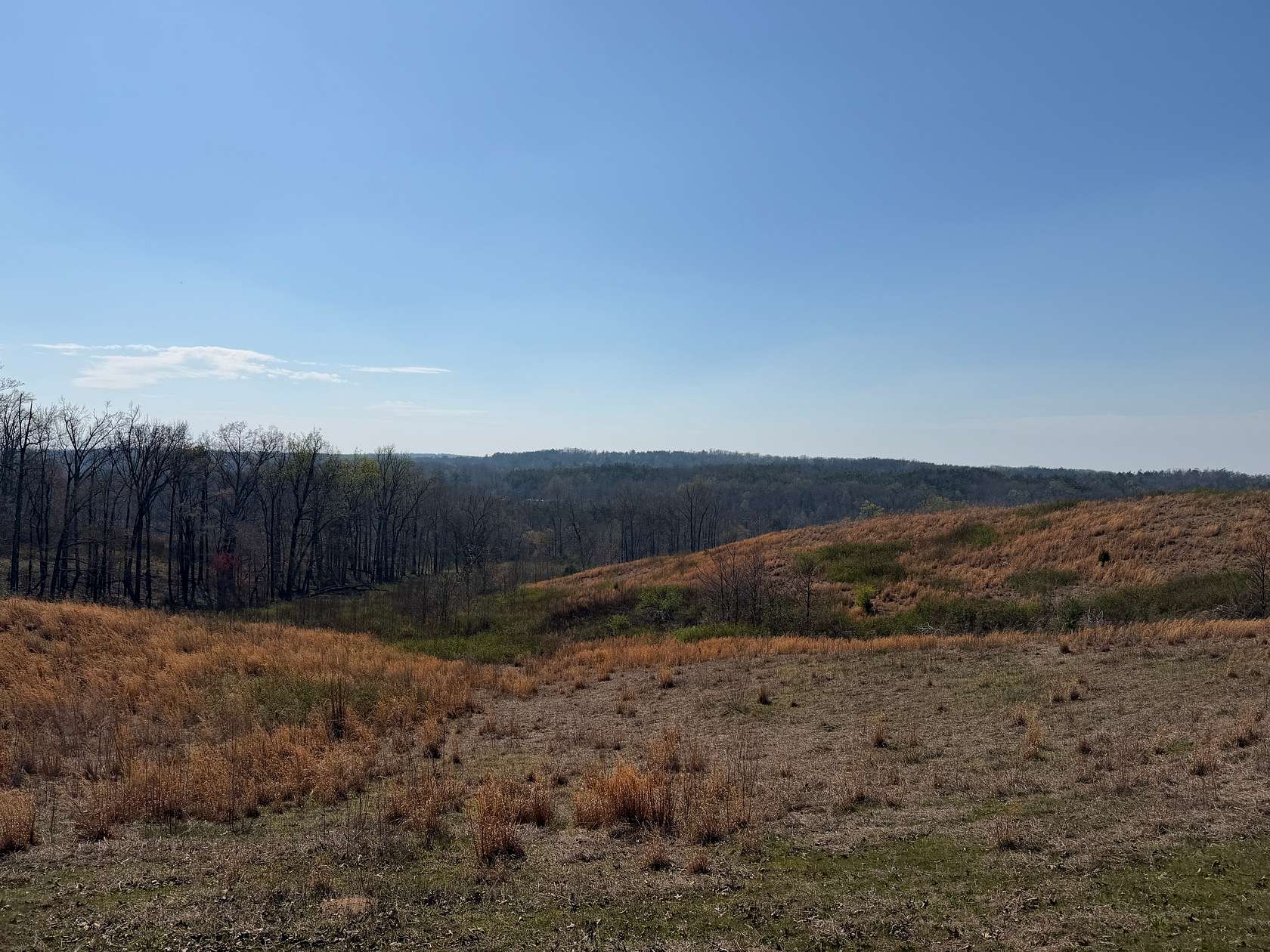 87.8 Acres of Land for Sale in Morris Chapel, Tennessee