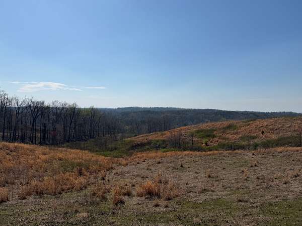 87.8 Acres of Land for Sale in Morris Chapel, Tennessee