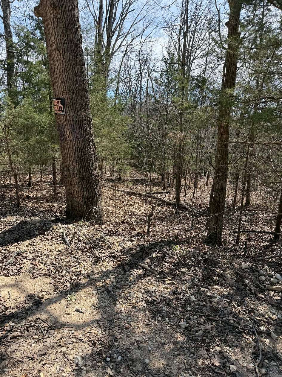 9 Acres of Land for Sale in Norwood, Missouri