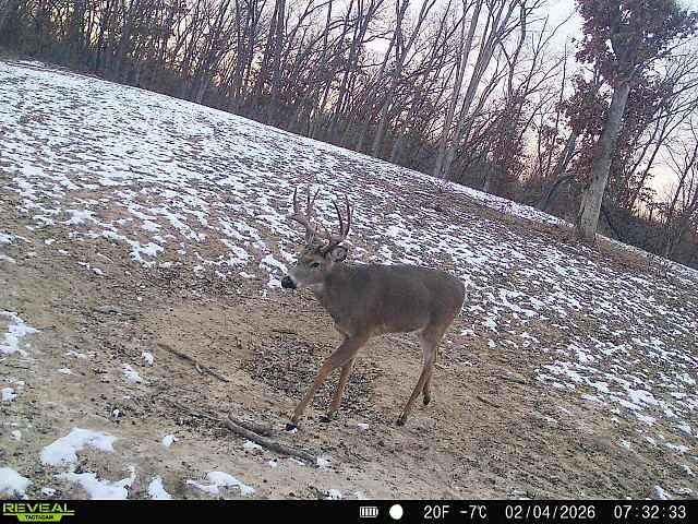 83 Acres of Land for Sale in Milan, Missouri