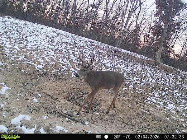 83 Acres of Land for Sale in Milan, Missouri