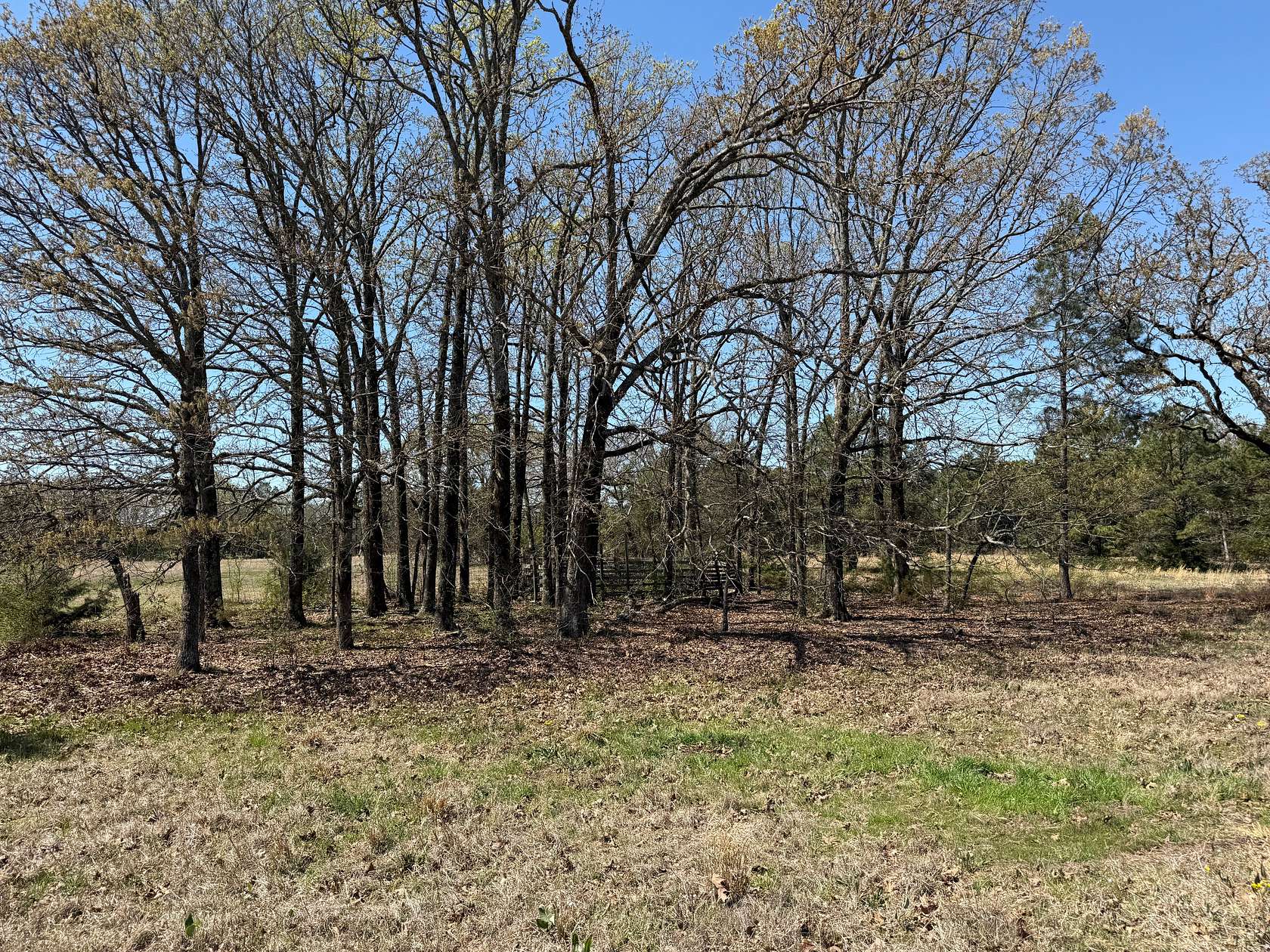 20 Acres of Land for Sale in Avery, Texas