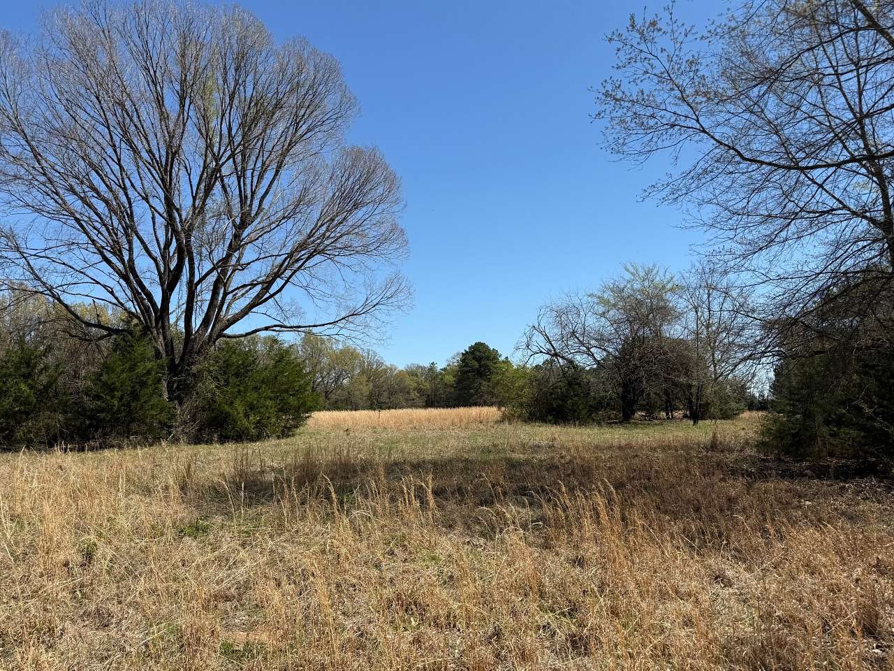 20 Acres of Land for Sale in Avery, Texas