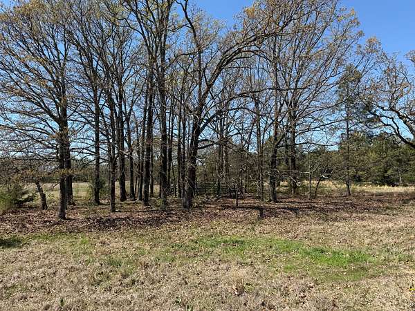 20 Acres of Land for Sale in Avery, Texas