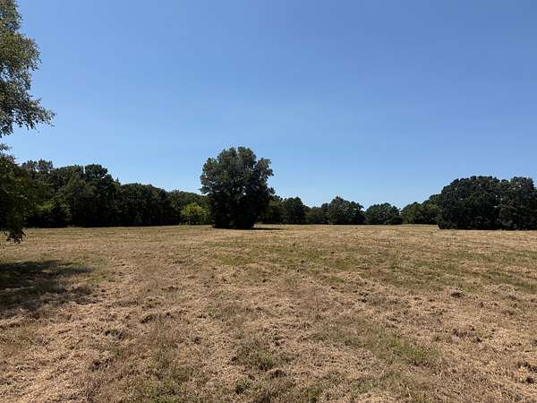 20 Acres of Land for Sale in Avery, Texas
