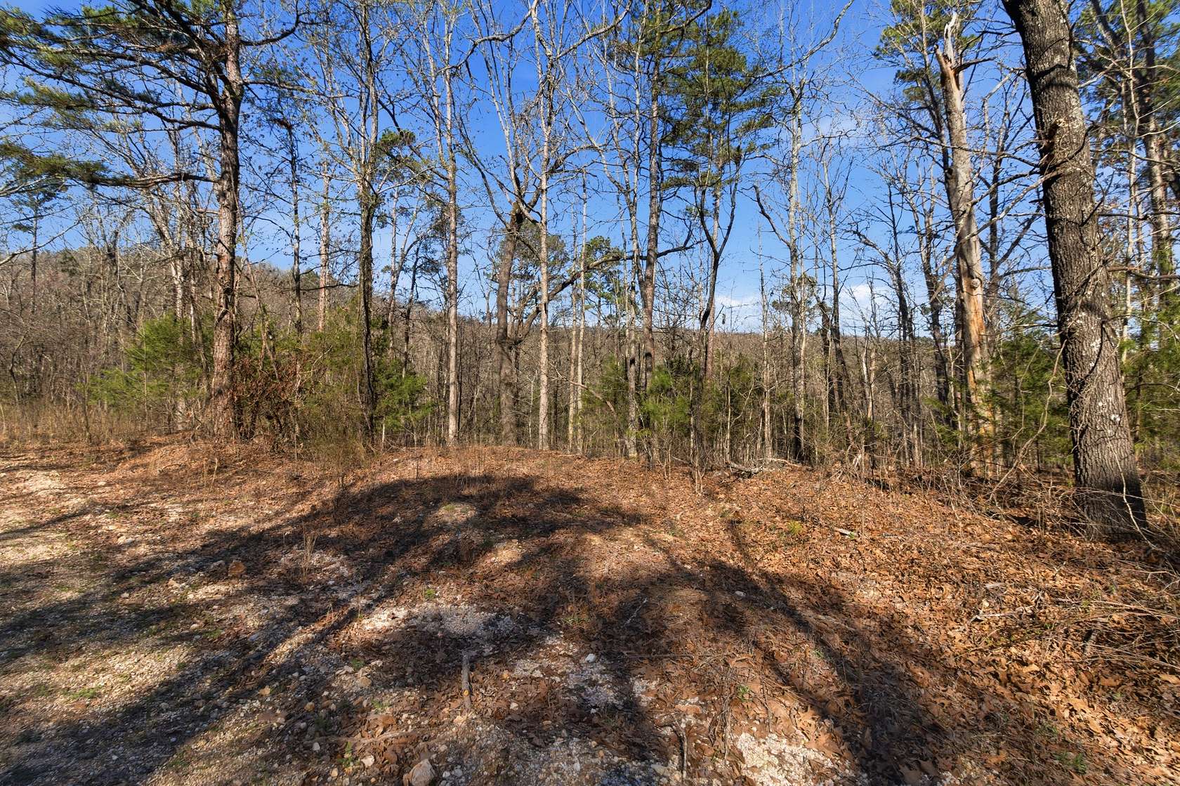 60 Acres of Land for Sale in Gainesville, Missouri