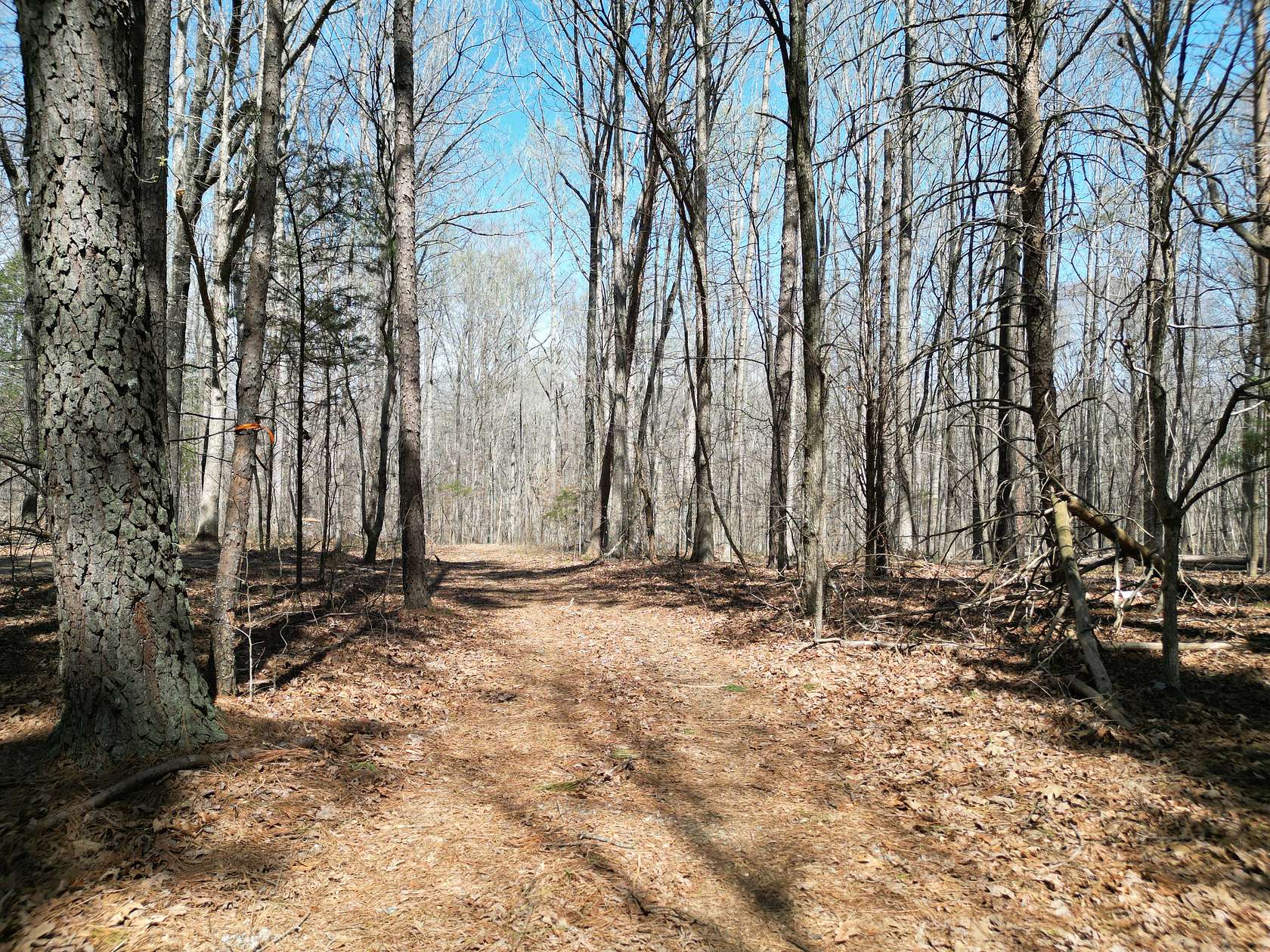 11.9 Acres of Land for Sale in Lexington, North Carolina