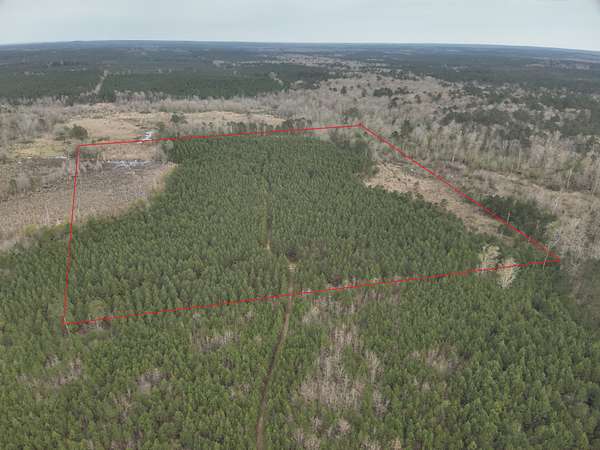 40 Acres of Land for Sale in Chidester, Arkansas