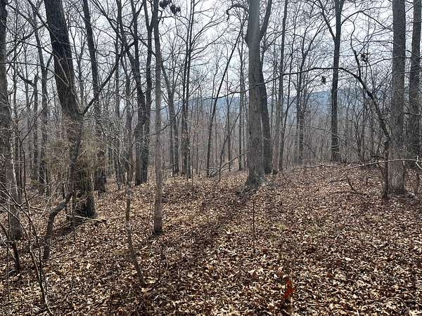 13 Acres of Land for Sale in Marshall, Arkansas