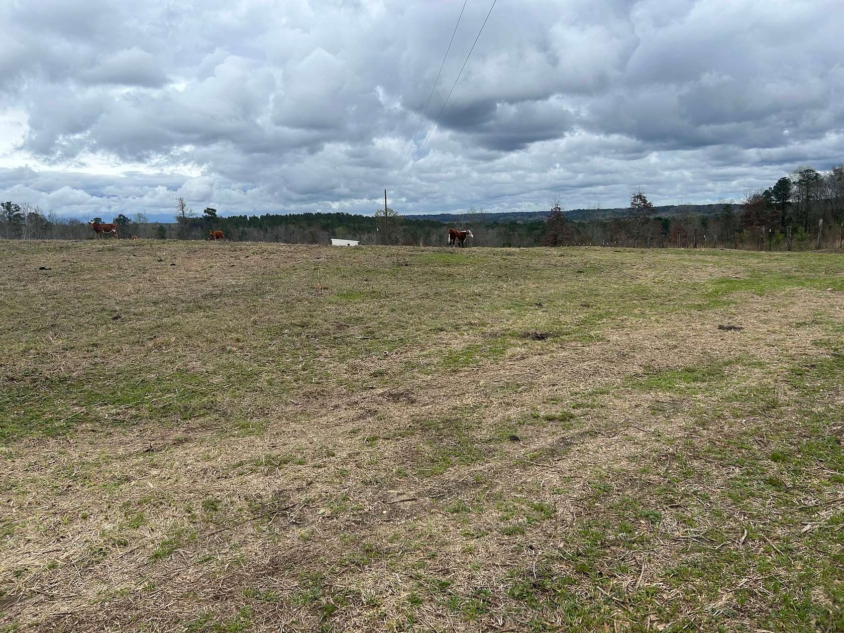 13.8 Acres of Land with Home for Sale in Maplesville, Alabama
