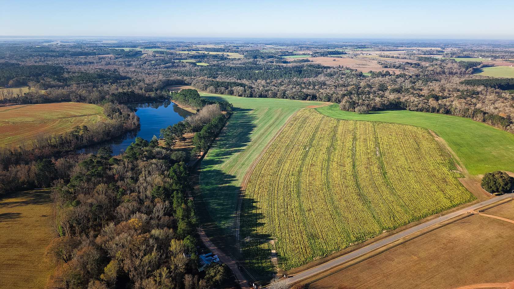 177 Acres of Land for Sale in Hartsfield, Georgia