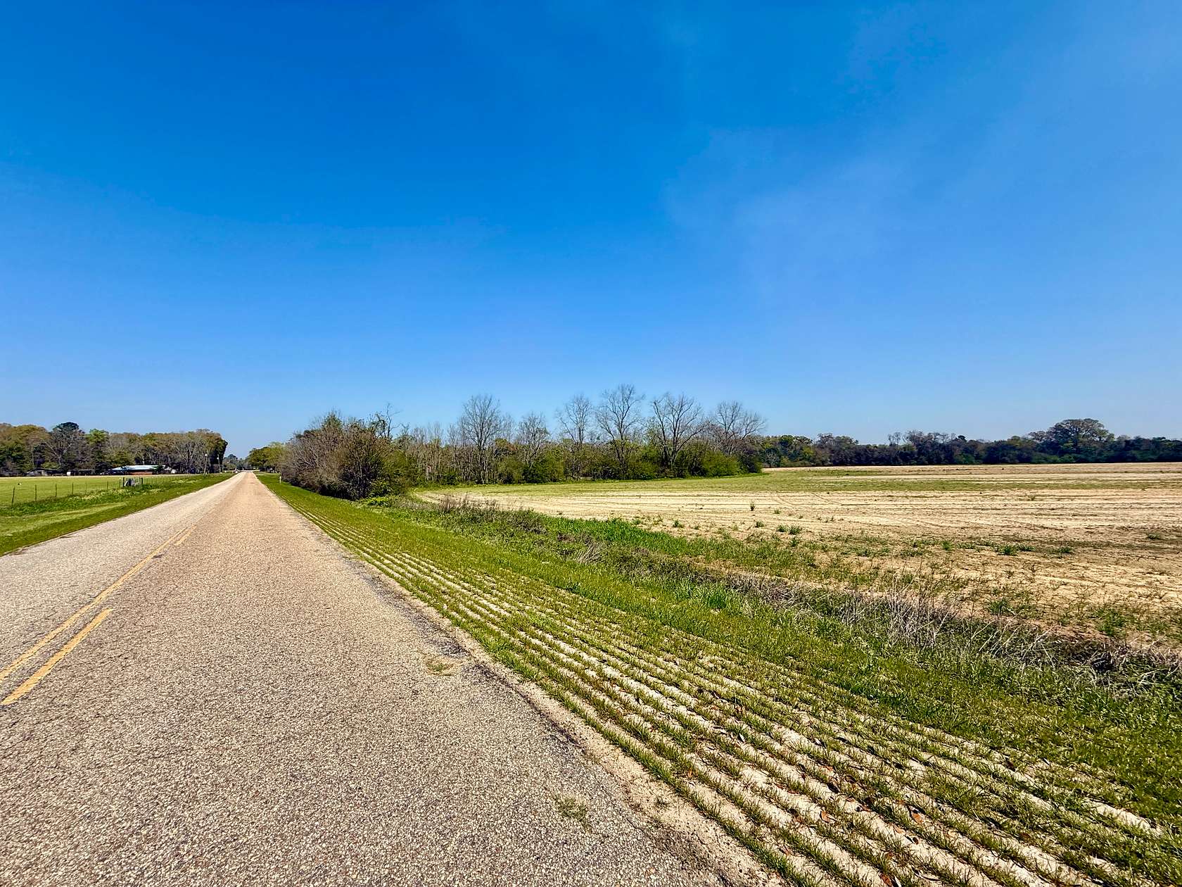 13 Acres of Agricultural Land for Sale in Pansey, Alabama