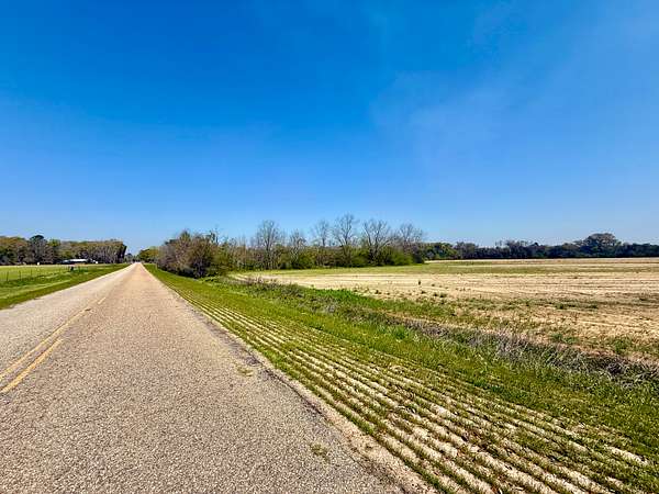 13 Acres of Agricultural Land for Sale in Pansey, Alabama