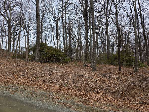 2.5 Acres of Residential Land for Auction in Meadows of Dan, Virginia