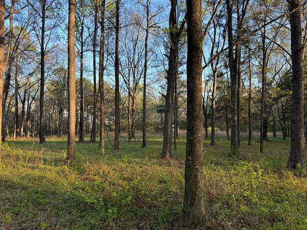3.18 Acres of Agricultural Land for Sale in Claiborne, Alabama