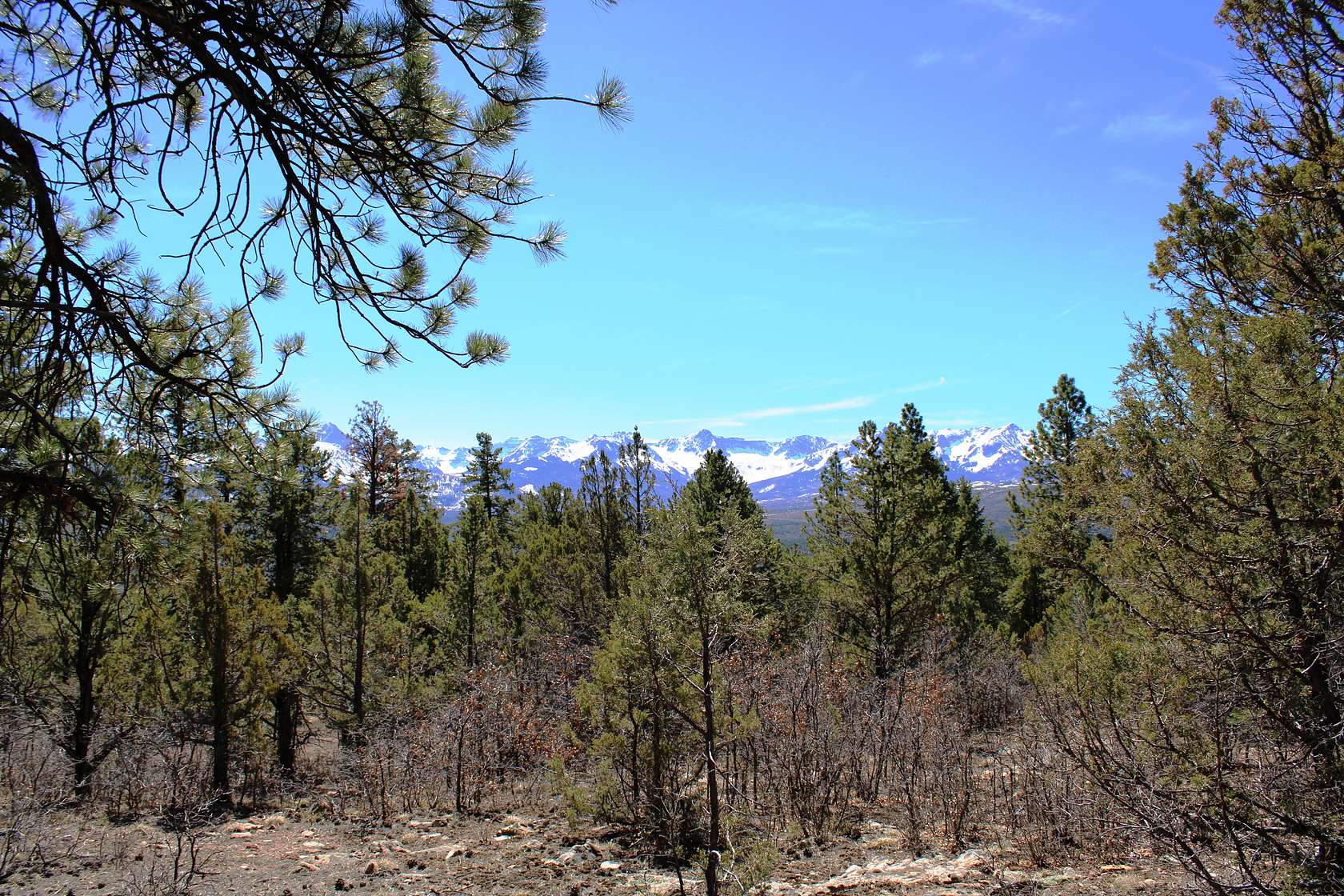 35.7 Acres of Land for Sale in Ridgway, Colorado