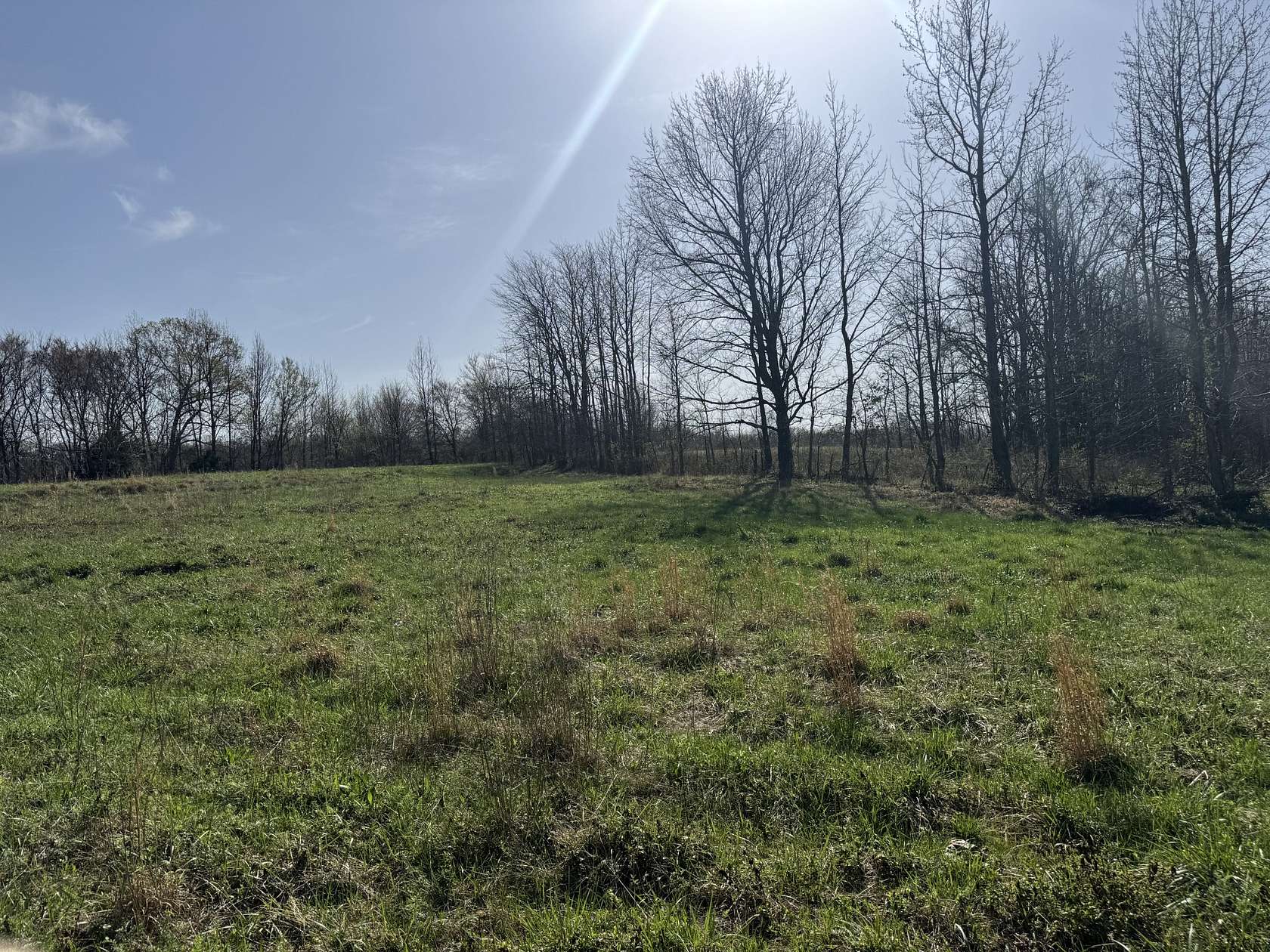 18.7 Acres of Land for Sale in Ripley, Tennessee