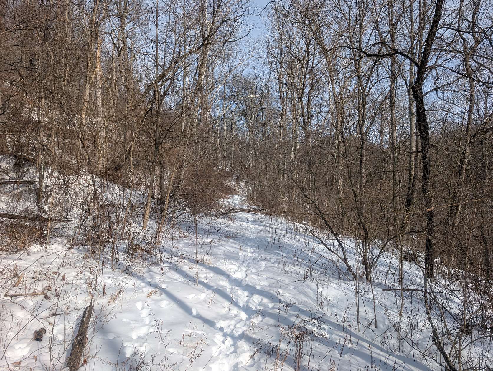 75.7 Acres of Land for Auction in Woodsfield, Ohio