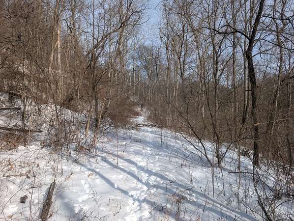 75.7 Acres of Land for Auction in Woodsfield, Ohio