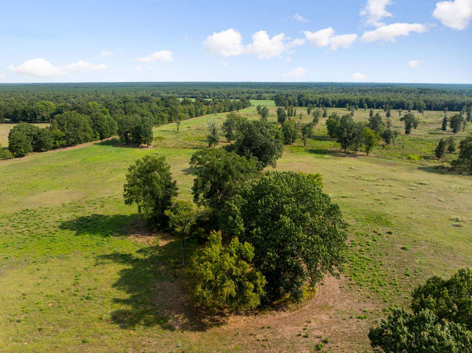 80 Acres of Land for Sale in Haworth, Oklahoma
