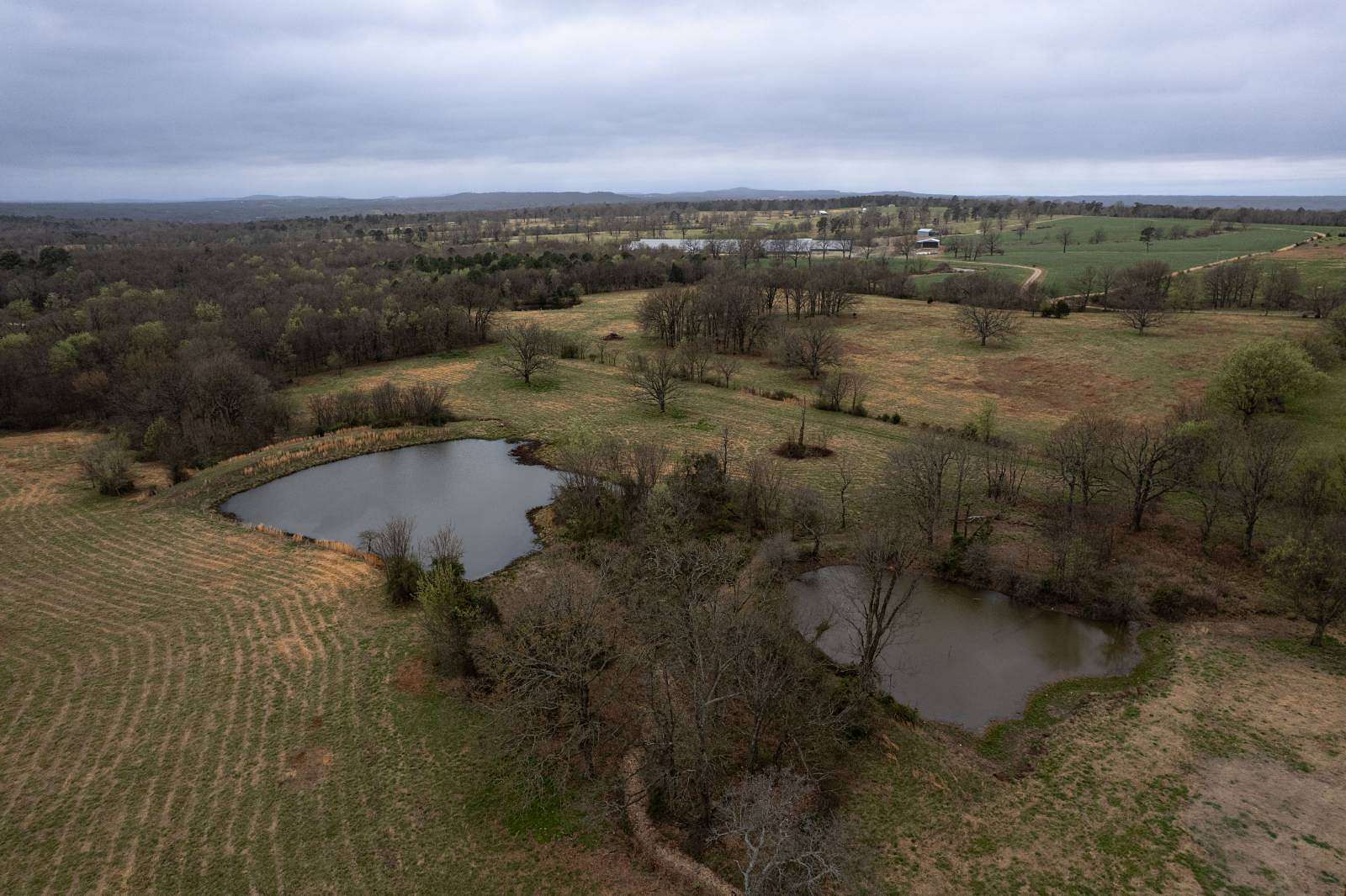 49.7 Acres of Land for Sale in Westville, Oklahoma