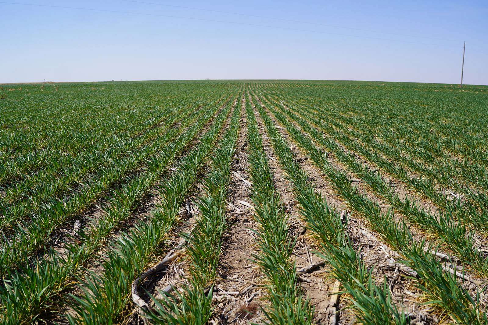 137 Acres of Agricultural Land for Sale in Palisade, Nebraska