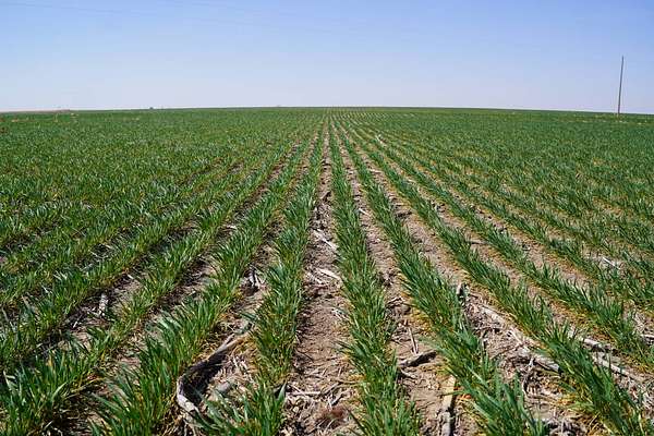 137 Acres of Agricultural Land for Sale in Palisade, Nebraska