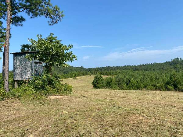 162 Acres of Recreational & Residential Land for Sale in Moores Bridge, Alabama