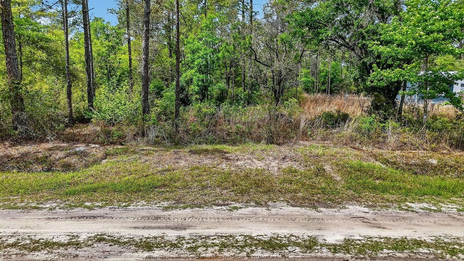 1.14 Acres of Residential Land for Sale in Hastings, Florida
