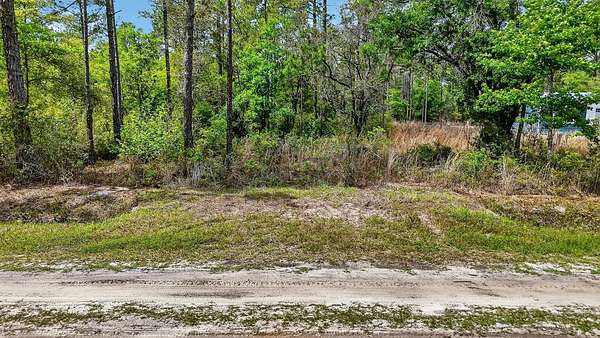 1.14 Acres of Residential Land for Sale in Hastings, Florida